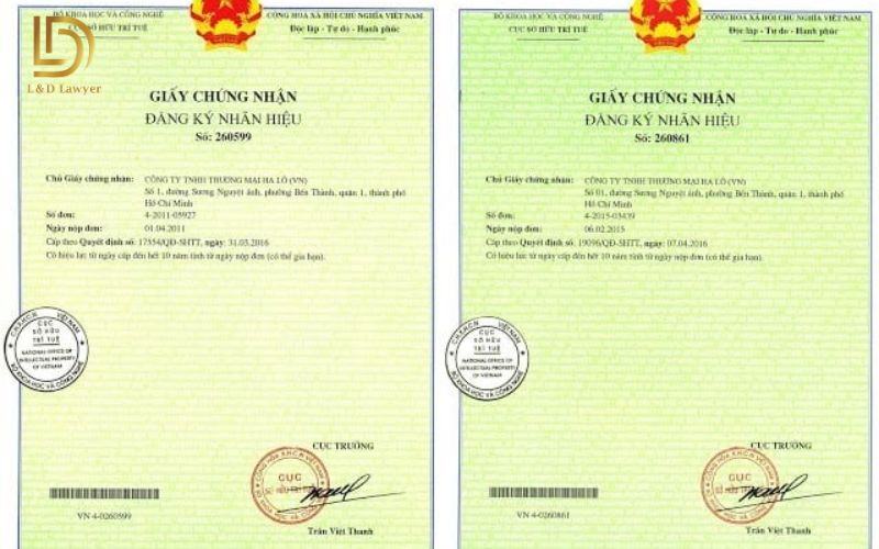 Giấy Chứng Nhận Đăng Ký Nhãn Hiệu Là Gì? Mẫu Mới Nhất