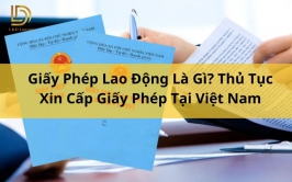 Giấy Phép Lao Động Là Gì? Thủ Tục Xin Cấp Giấy Phép Tại Việt Nam L&D Lawyer