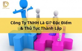 Công Ty TNHH Là Gì? Đặc Điểm & Thủ Tục Thành Lập L&D Lawyer