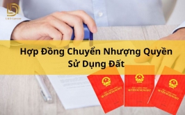 Hợp Đồng Chuyển Nhượng Quyền Sử Dụng Đất L&D Lawyer