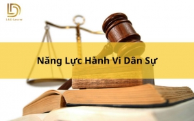 Năng Lực Hành Vi Dân Sự - Tất Tần Tầt Thông Tin Mới Nhất L&D Lawyer