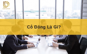 Cổ đông là gì? L&D Lawyer